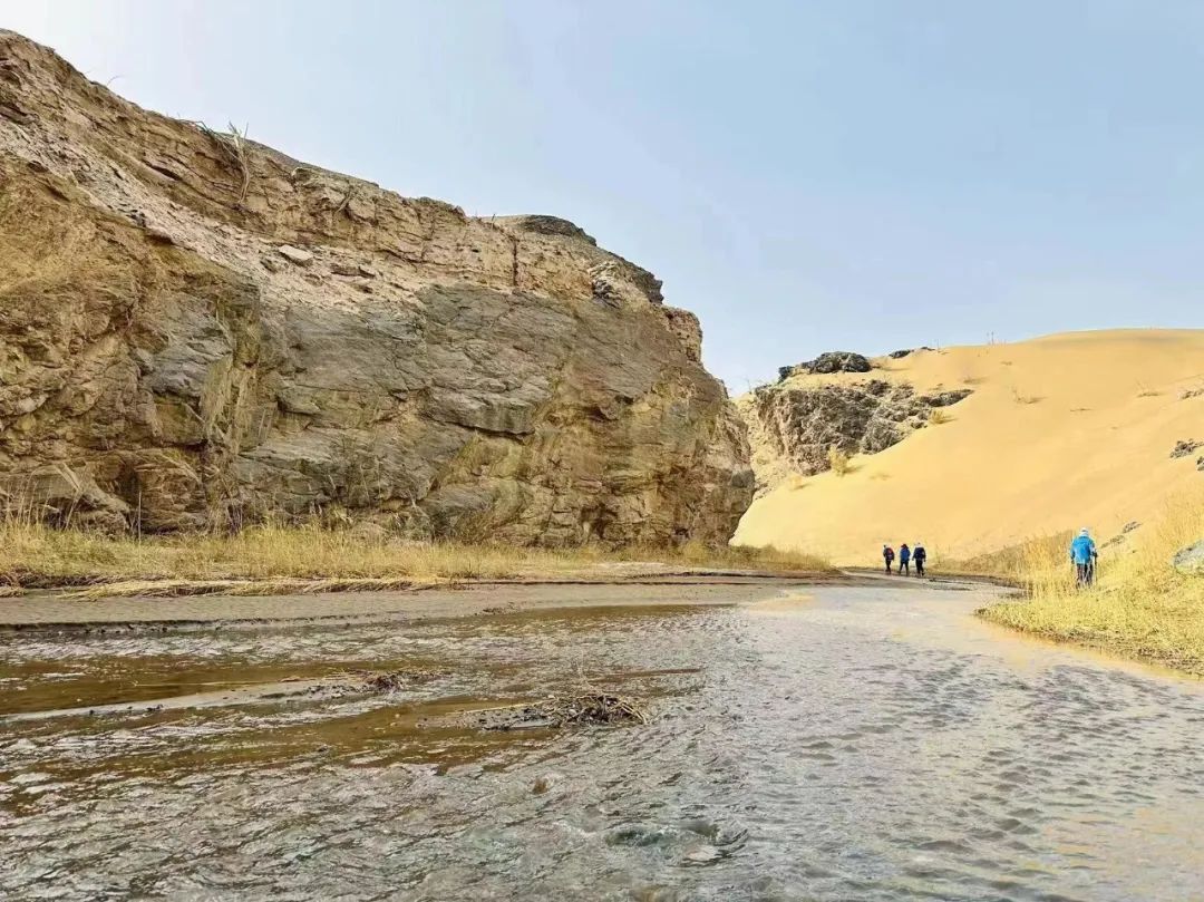 1683769171322839.jpg 15.jpg